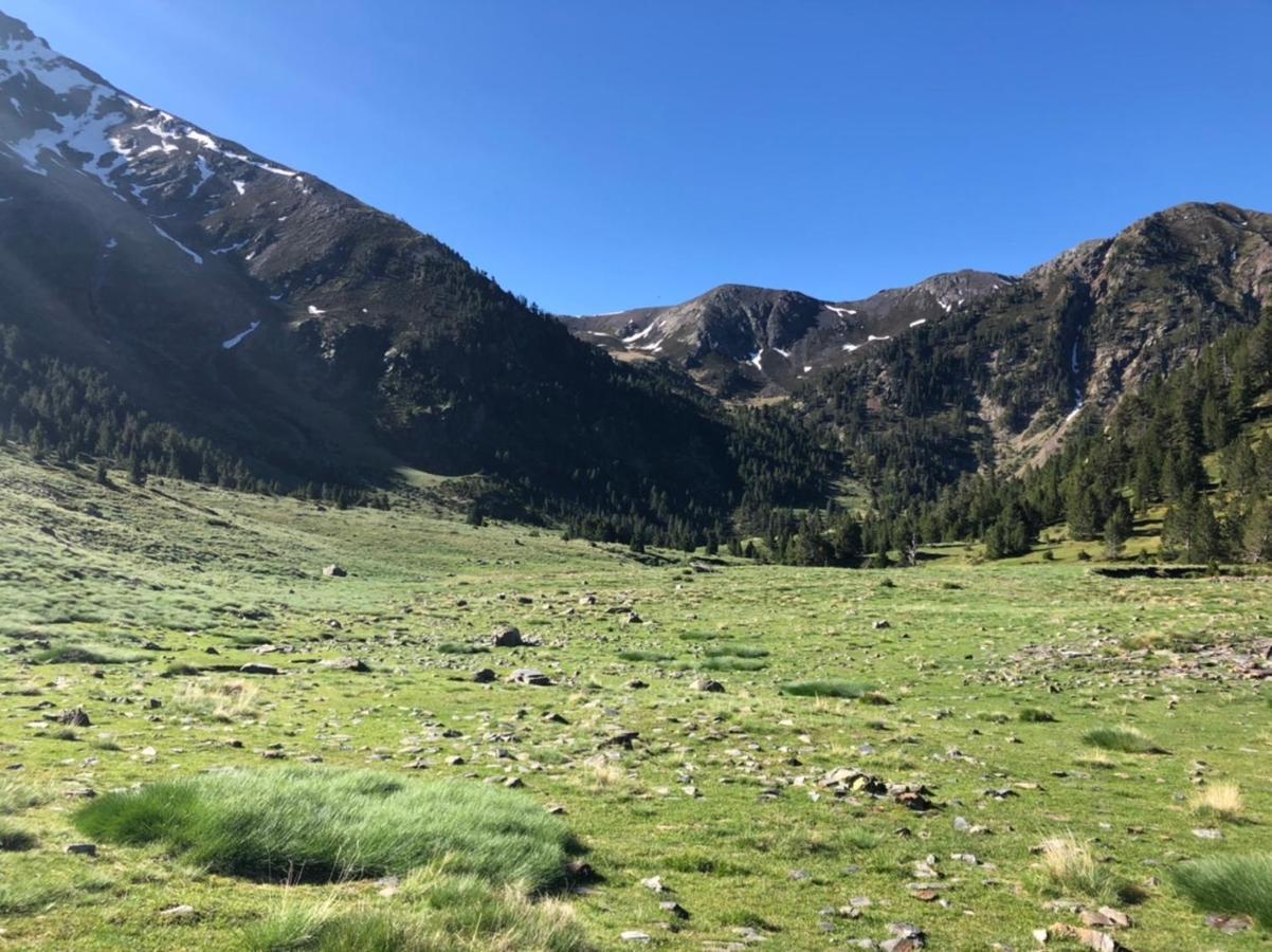 Hostal Pirineos Meliz บีเอลซา ภายนอก รูปภาพ